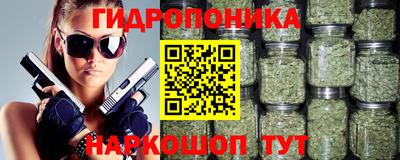 индика Мариинск
