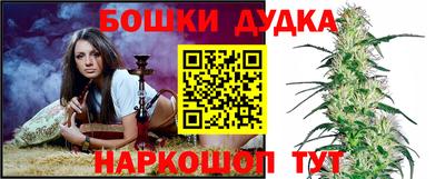 индика Мариинск
