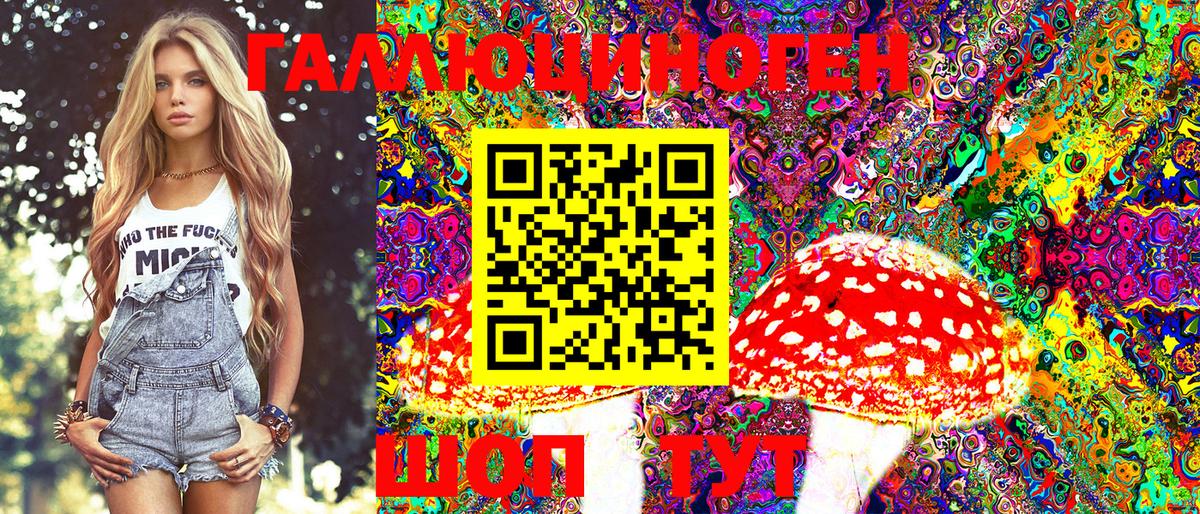 Шелехов  Псилоцибиновые грибы MAGIC MUSHROOMS  Псилоцибиновые грибы ЛСД  Вход с VPN 