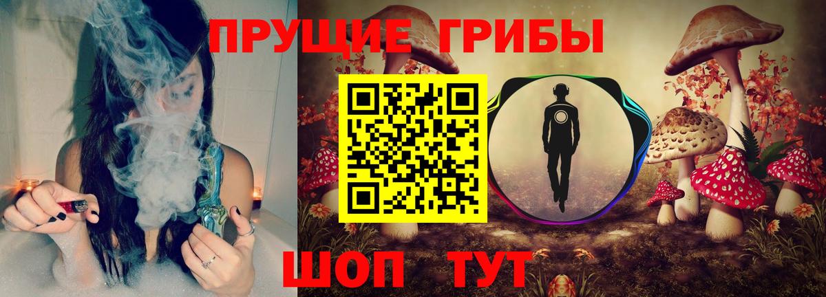 Псилоцибиновые грибы мицелий Шелехов